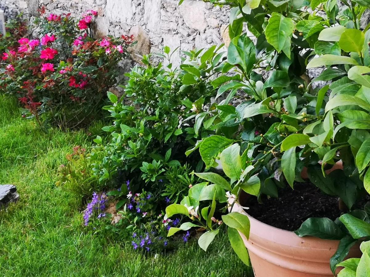 B&B Ca' Du Brigidin Tovo San Giacomo Экстерьер фото