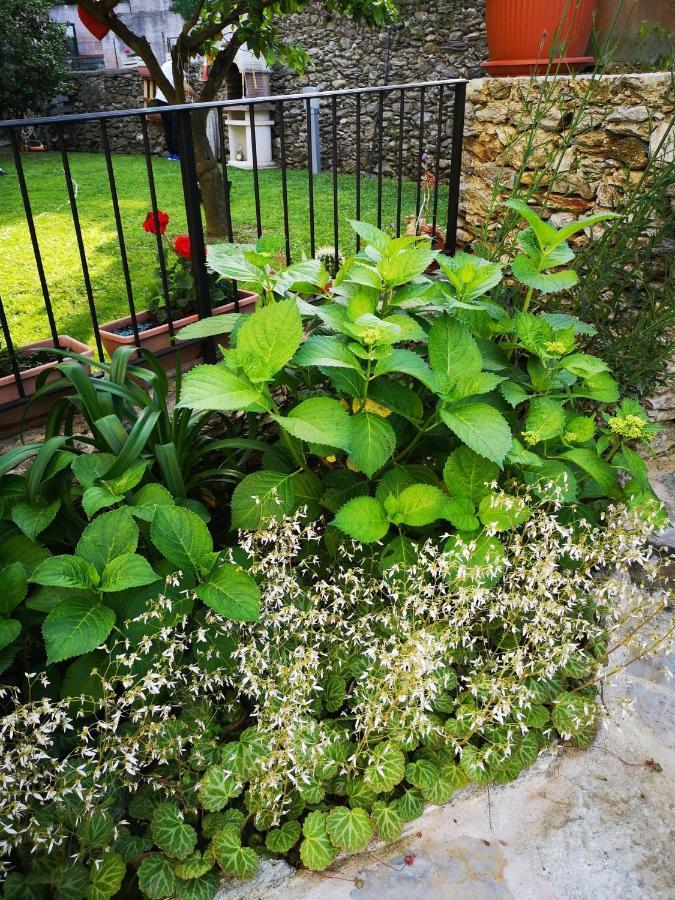 B&B Ca' Du Brigidin Tovo San Giacomo Экстерьер фото