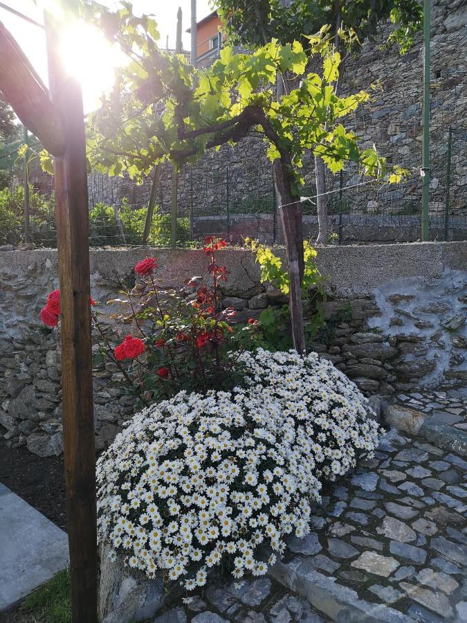 B&B Ca' Du Brigidin Tovo San Giacomo Экстерьер фото