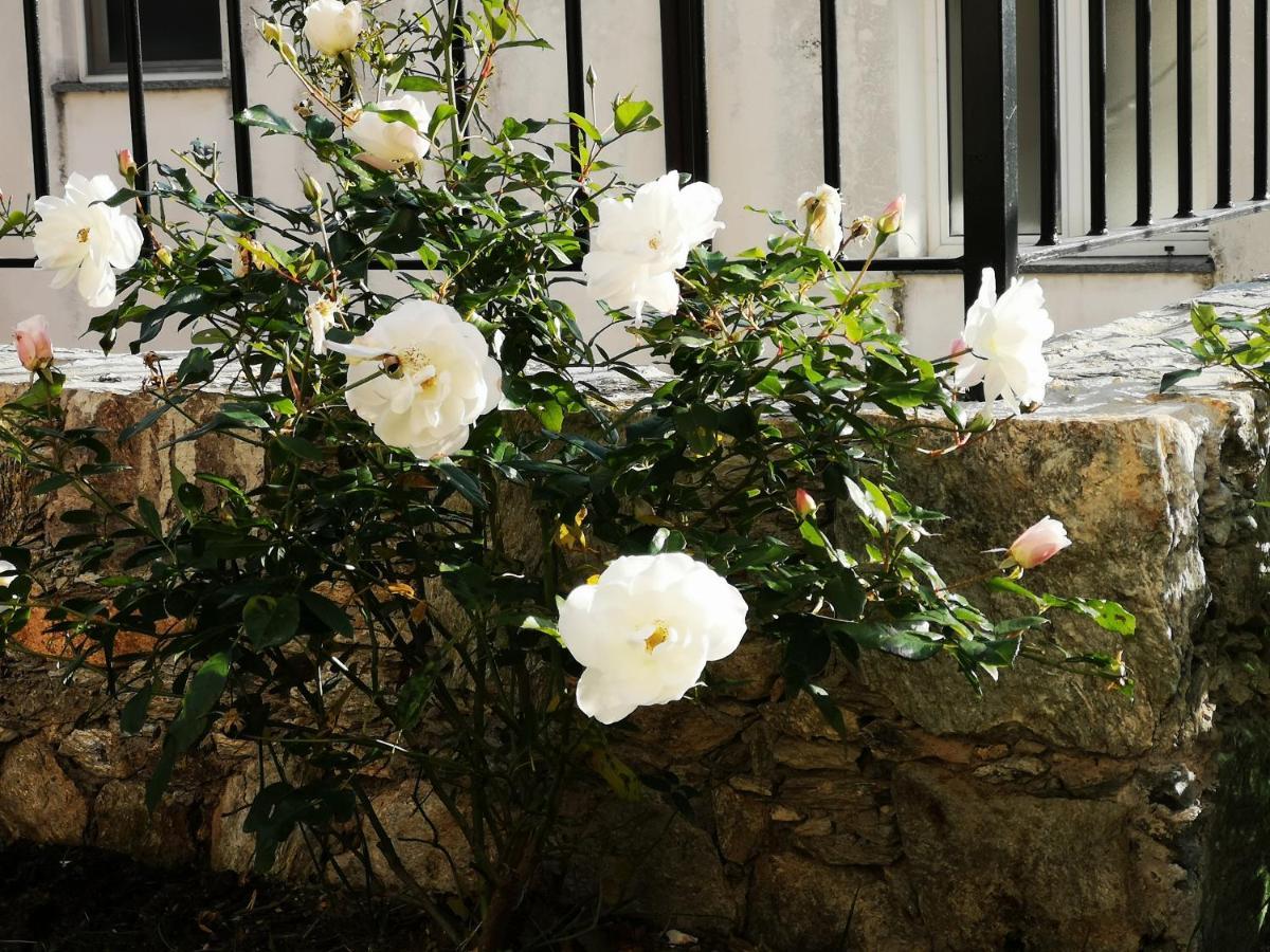 B&B Ca' Du Brigidin Tovo San Giacomo Экстерьер фото