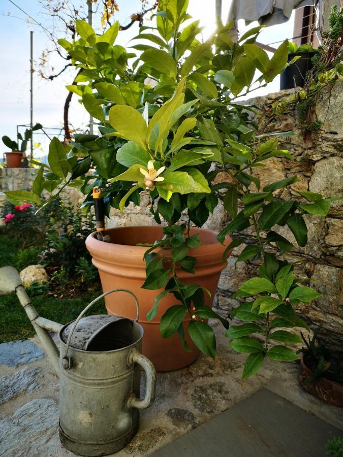 B&B Ca' Du Brigidin Tovo San Giacomo Экстерьер фото