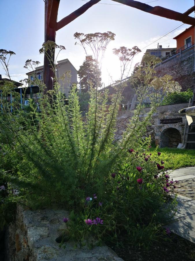 B&B Ca' Du Brigidin Tovo San Giacomo Экстерьер фото