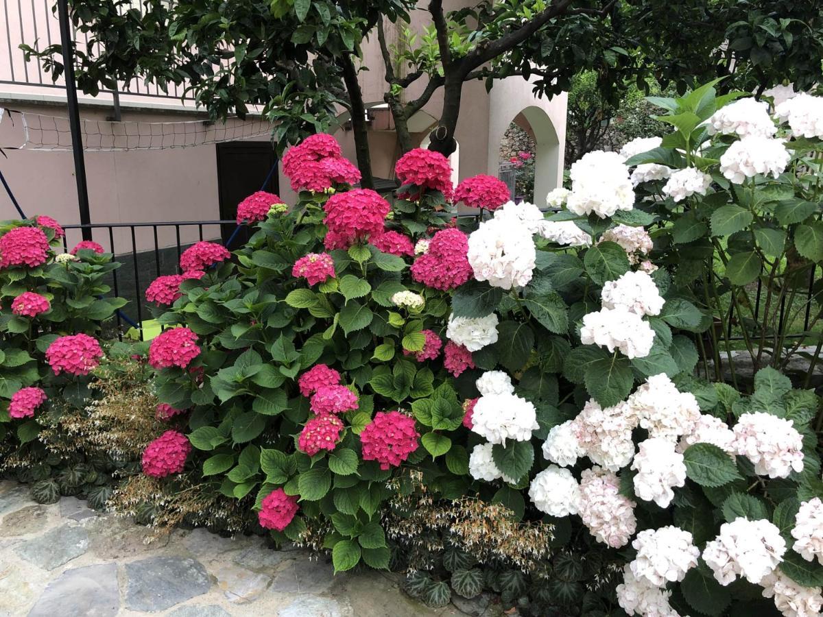 B&B Ca' Du Brigidin Tovo San Giacomo Экстерьер фото